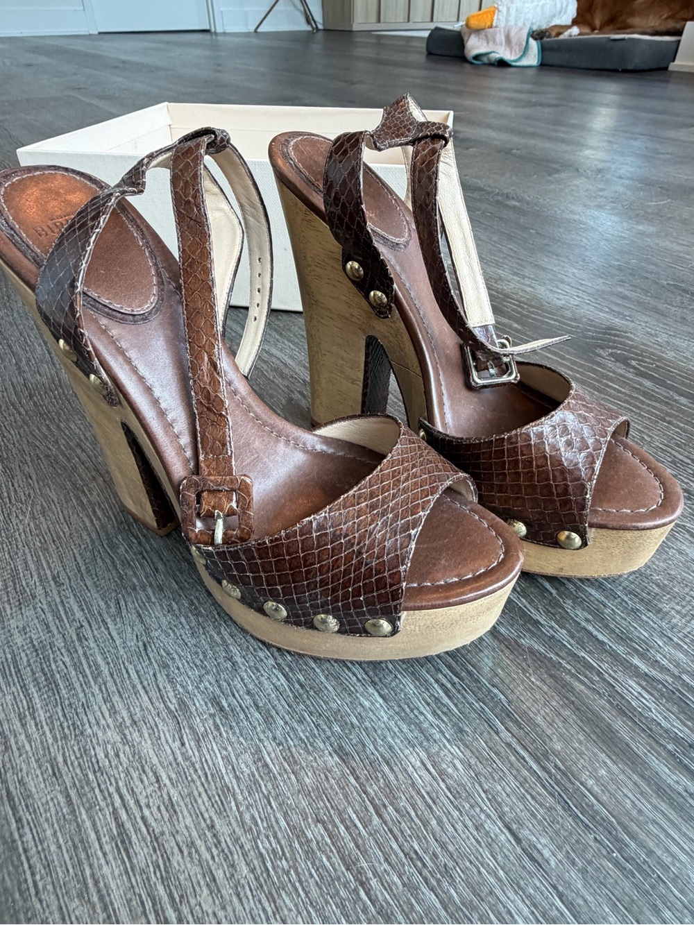 Alexandre Birman Heels